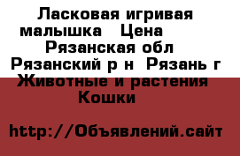 Ласковая игривая малышка › Цена ­ 200 - Рязанская обл., Рязанский р-н, Рязань г. Животные и растения » Кошки   